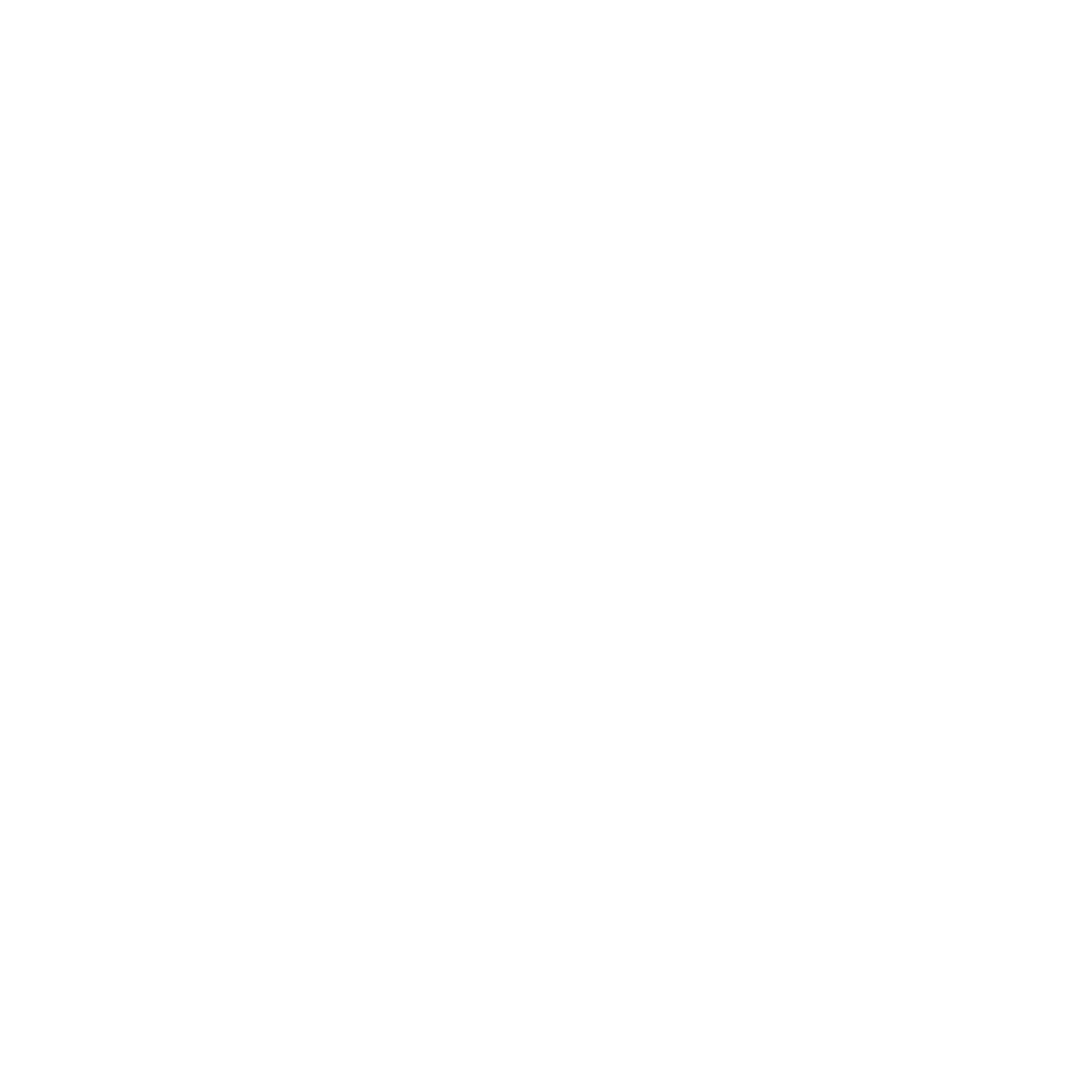 Silvertone Hotel
